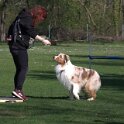 IMG 0158