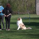 IMG 0167