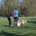 IMG 0178