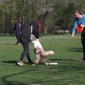 IMG 0183
