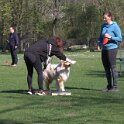 IMG 0184