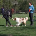 IMG 0186