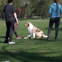 IMG 0193