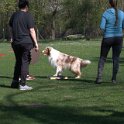 IMG 0194