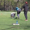 IMG 0199