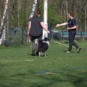 IMG 0207