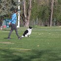 IMG 0210