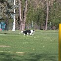 IMG 0212