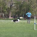 IMG 0213