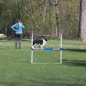 IMG 0214