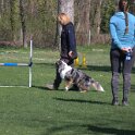 IMG 0227