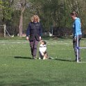 IMG 0235