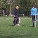 IMG 0236