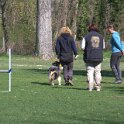 IMG 0241
