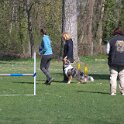 IMG 0243
