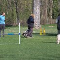 IMG 0247