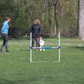 IMG 0248
