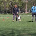 IMG 0250
