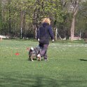 IMG 0254