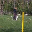 IMG 0256