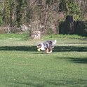 IMG 0257