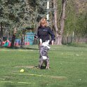 IMG 0260