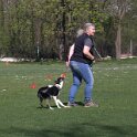 IMG 0270