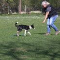 IMG 0282