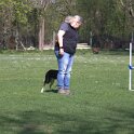 IMG 0295
