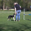IMG 0299