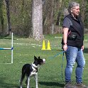 IMG 0308