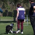 IMG 0311