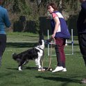 IMG 0312
