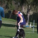 IMG 0313