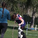 IMG 0314