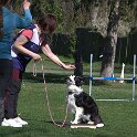 IMG 0316