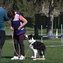 IMG 0317