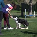 IMG 0318