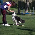IMG 0319