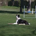 IMG 0324