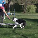 IMG 0326