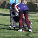 IMG 0331