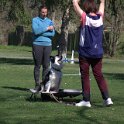 IMG 0337