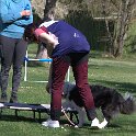 IMG 0340