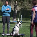 IMG 0346