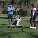 IMG 0352