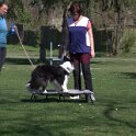 IMG 0370