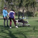 IMG 0378
