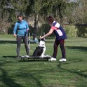 IMG 0380