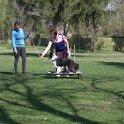 IMG 0385